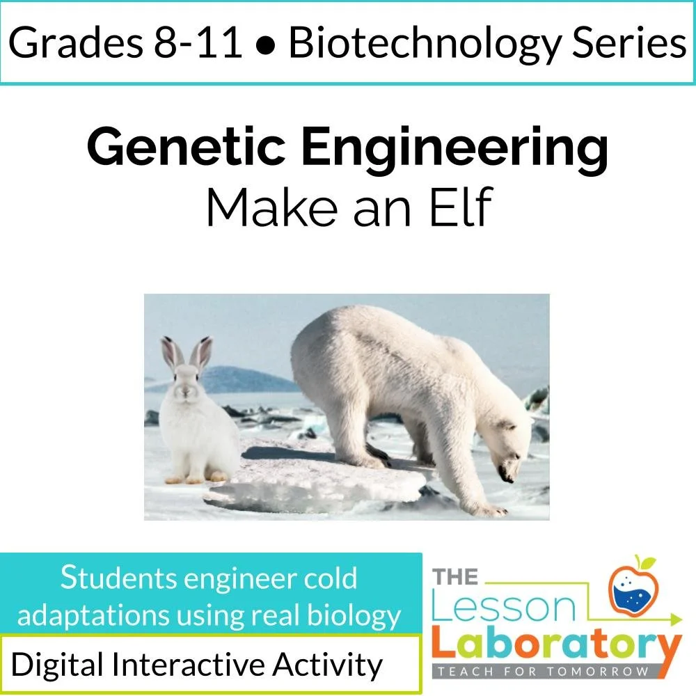 Genetic Engineering & Adaptations Lesson | Engineer an Elf Biology Simulation