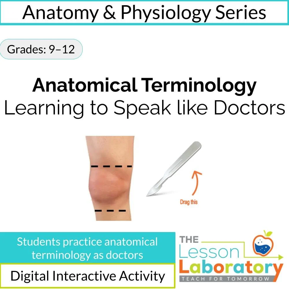 Anatomical Terminology Digital Lab & Escape Room – Relative Position, Body Regions & Doctor Simulation