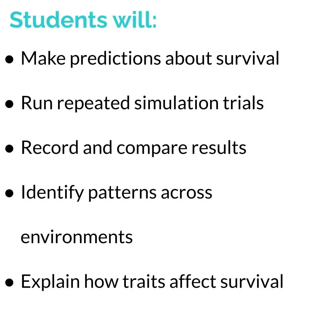 MS_HS Lesson Icons (1).jpg