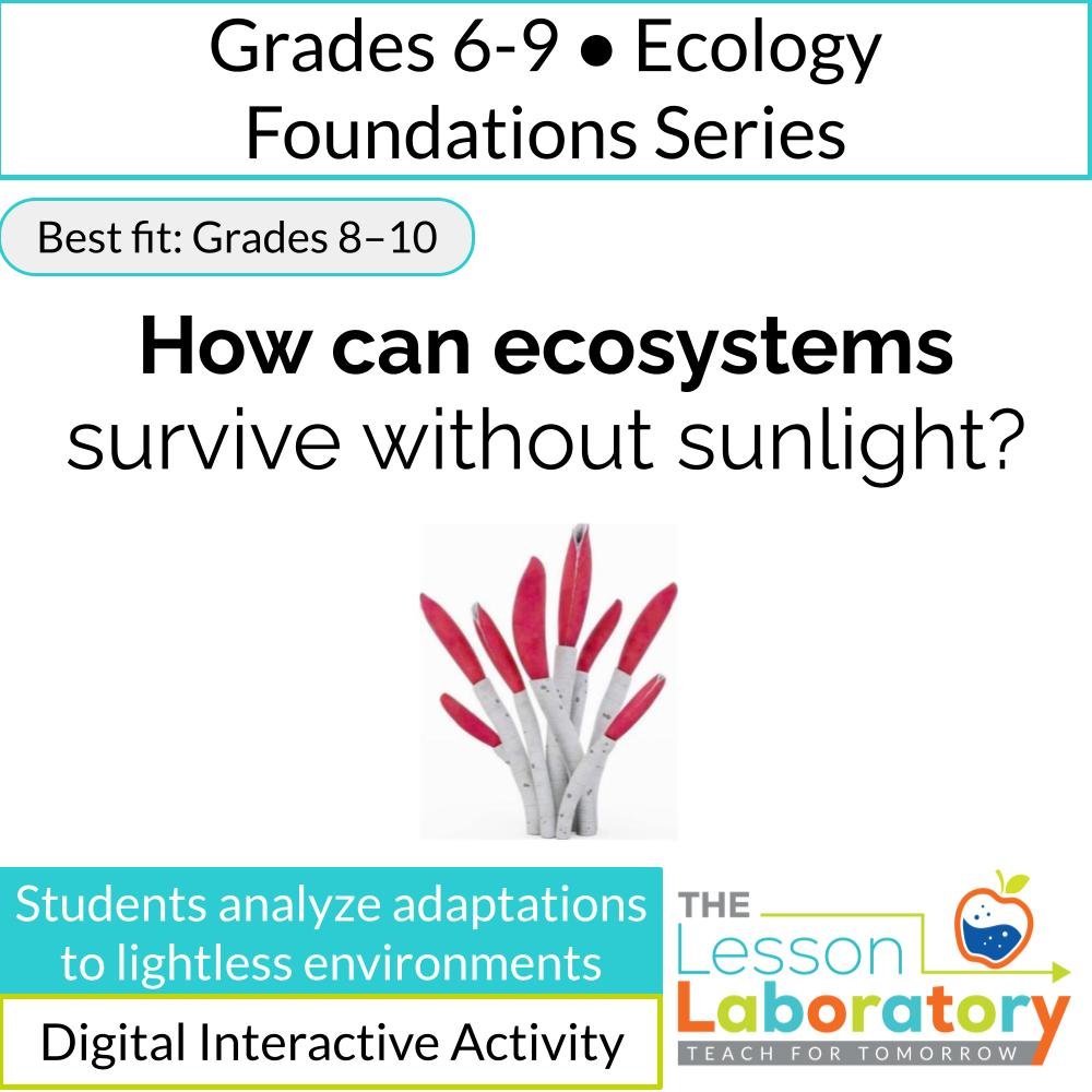 Hydrothermal Vents & Life Without Sunlight | Digital Investigation