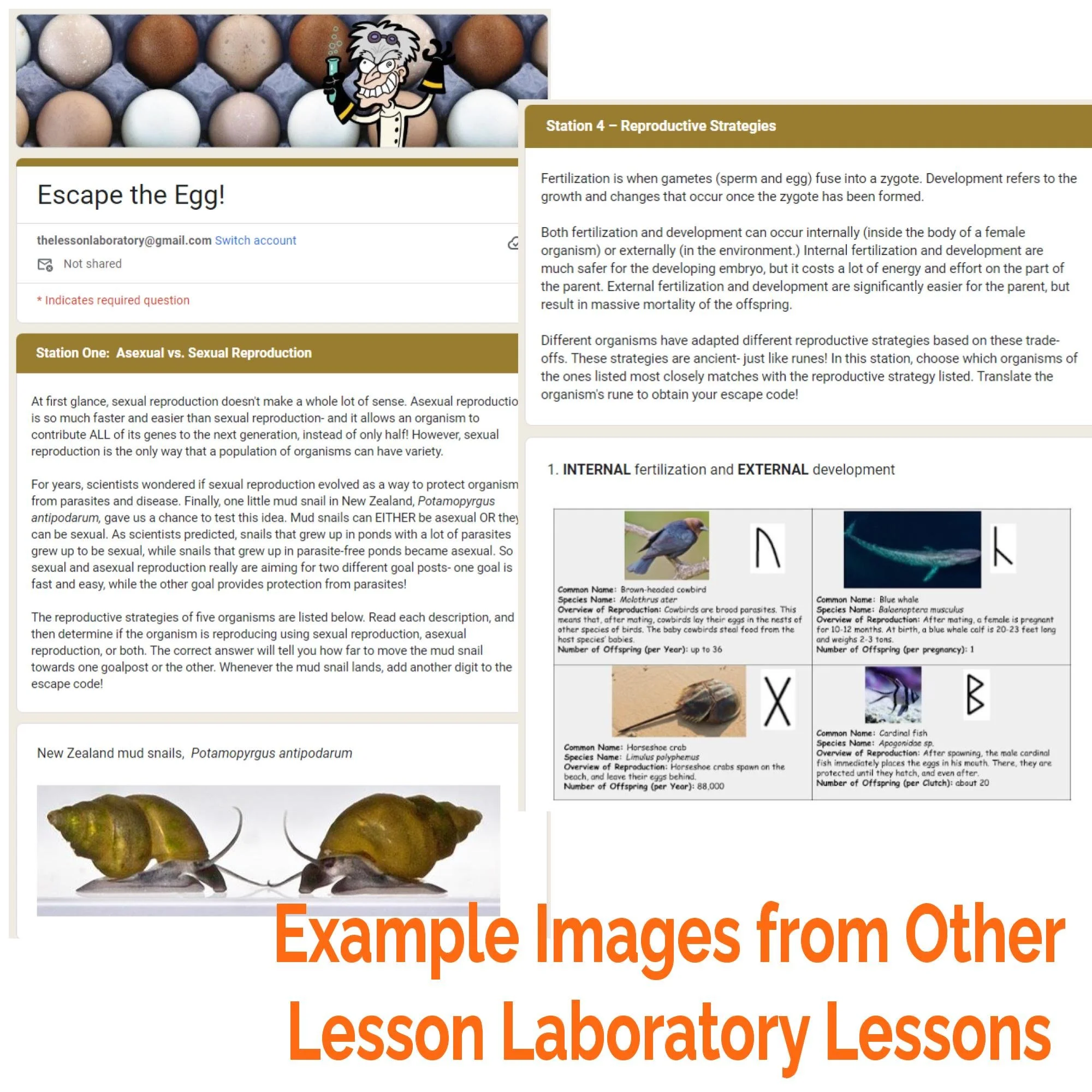 CORRECT Lesson Icons (3).jpg