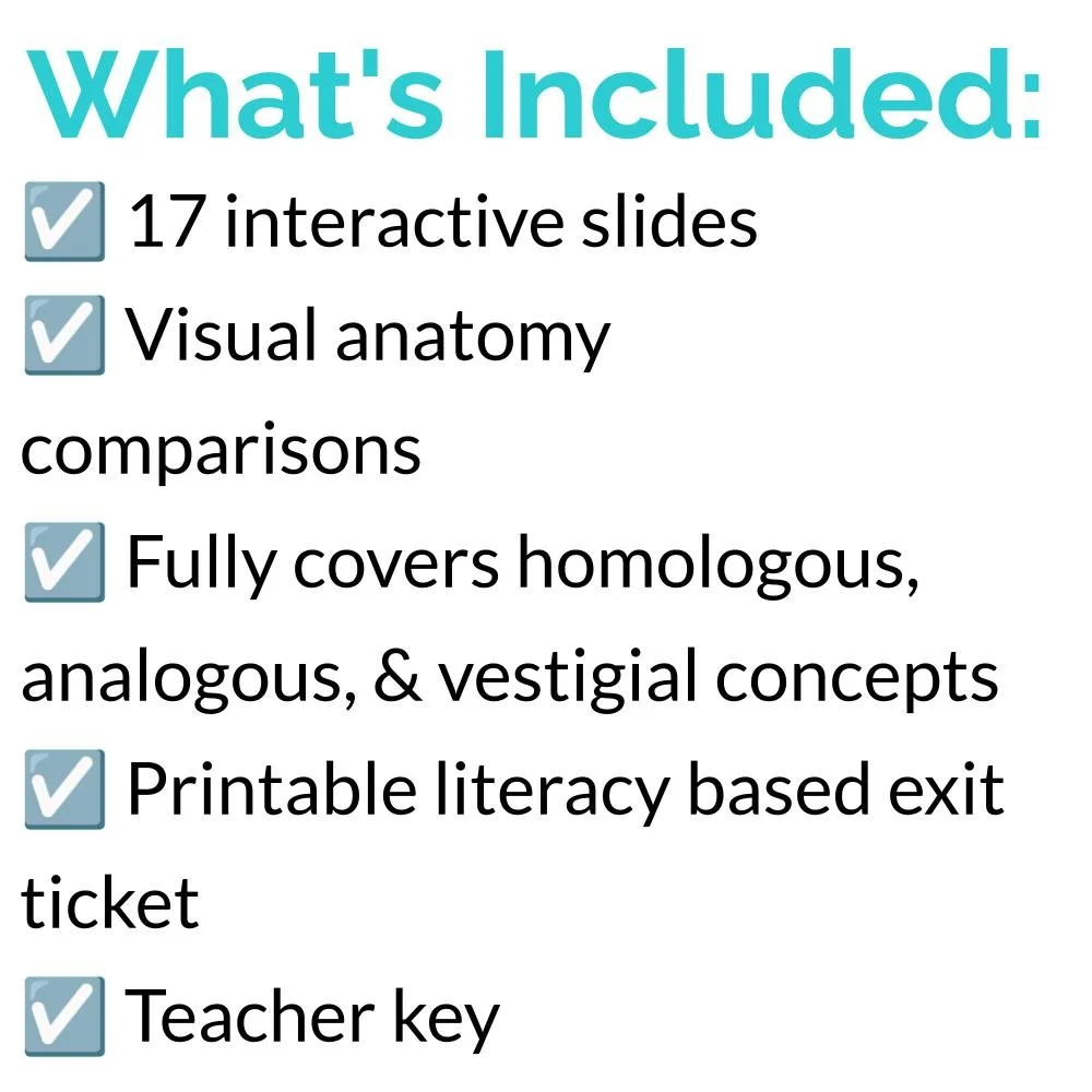 New Lesson Icons (6).jpg