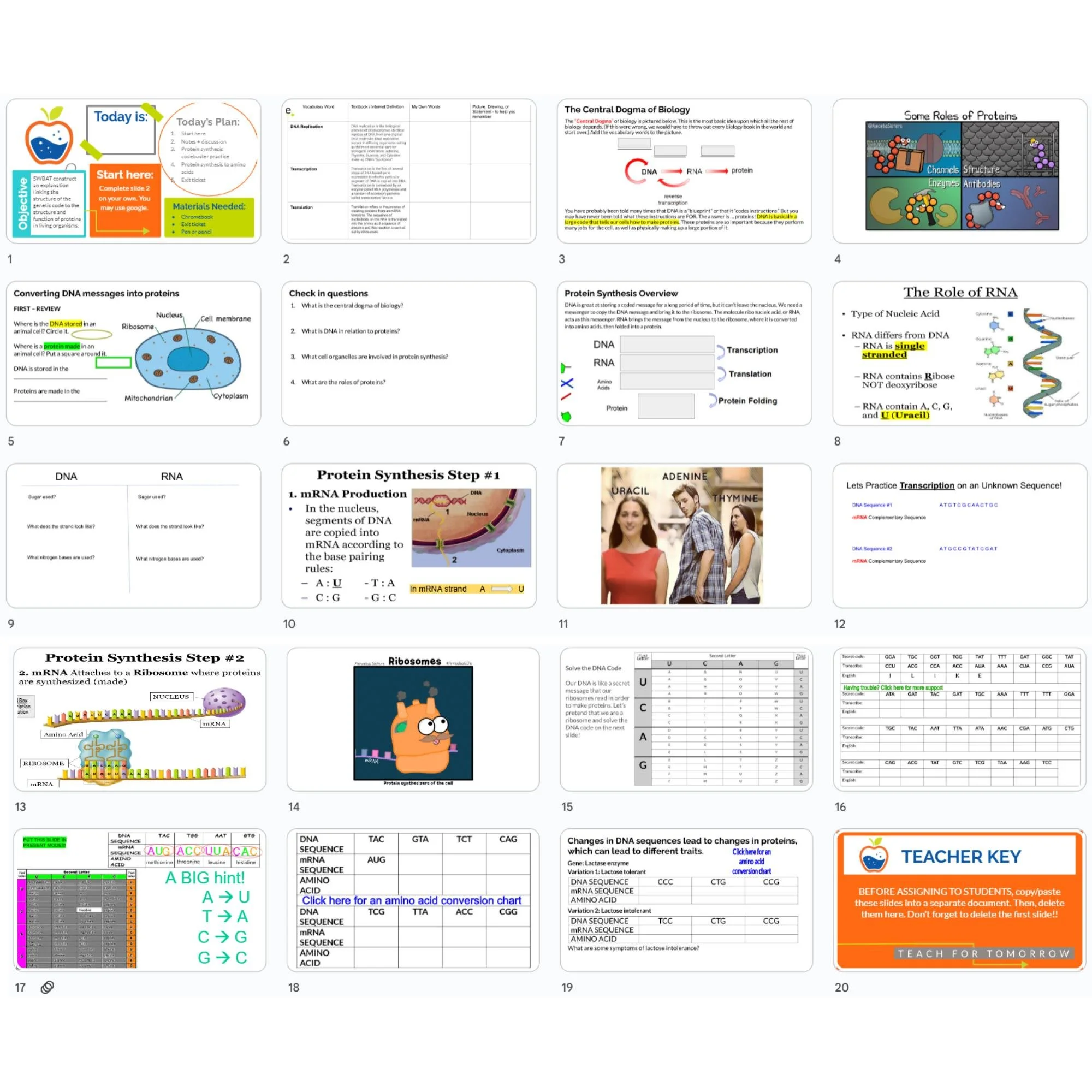 CORRECT Lesson Icons (3).jpg