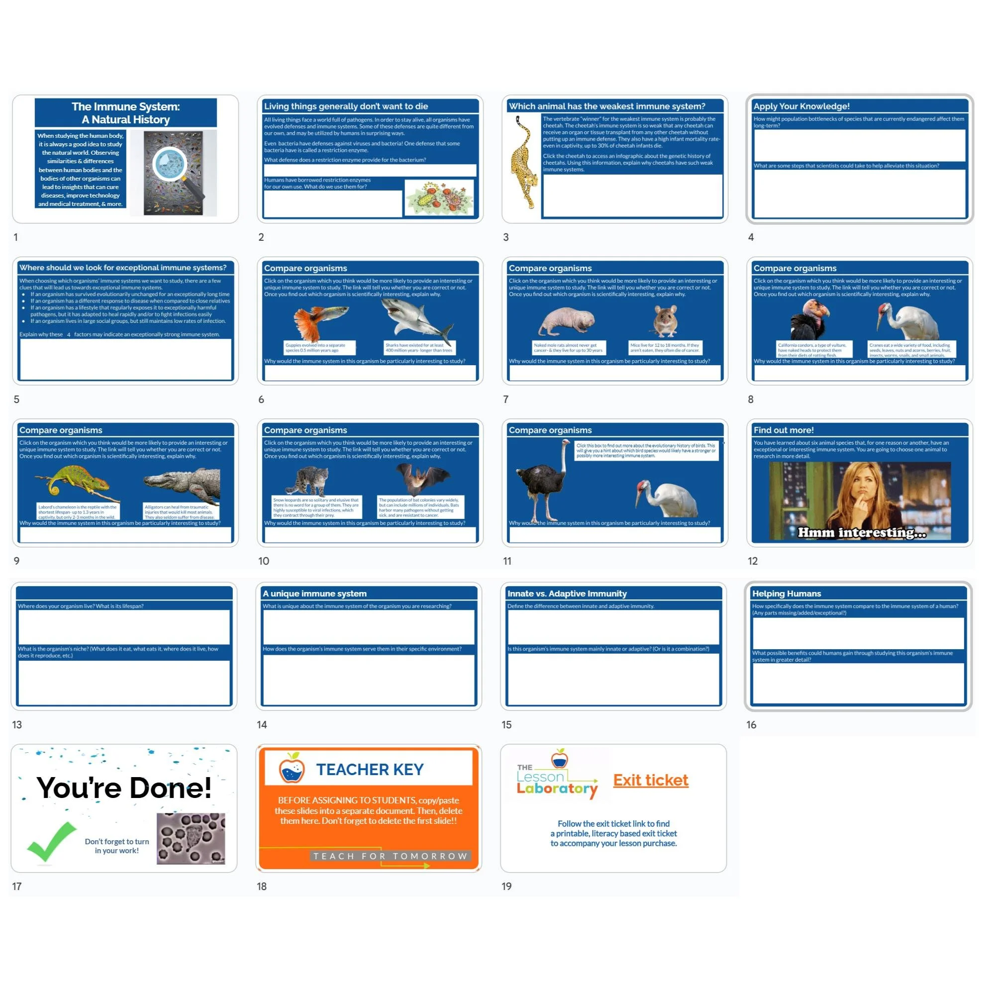 CORRECT Lesson Icons (1).jpg