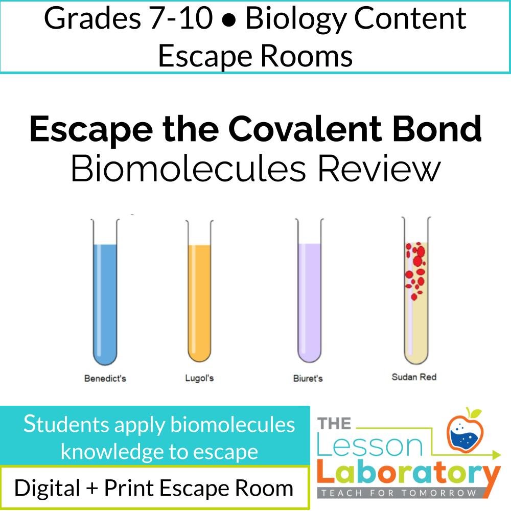 Biomolecules Escape Room (Biology) | Google Forms Digital Review | Macromolecules, pH, Enzymes, Food Tests