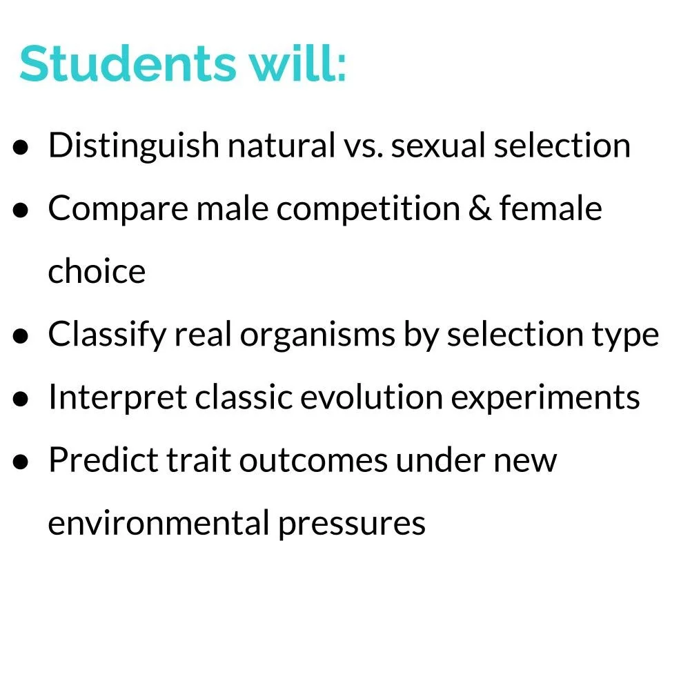 MS_HS Lesson Icons (1).jpg