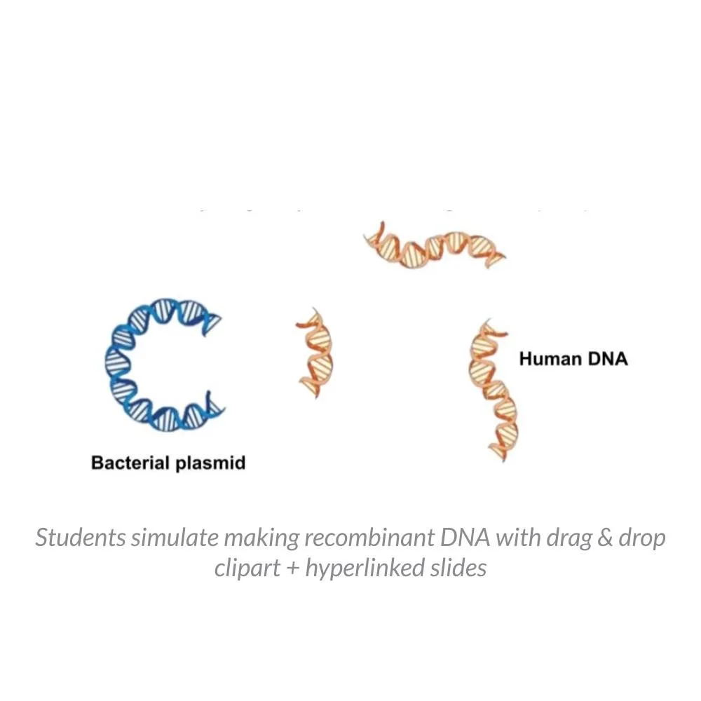 MS_HS Lesson Icons (1).jpg