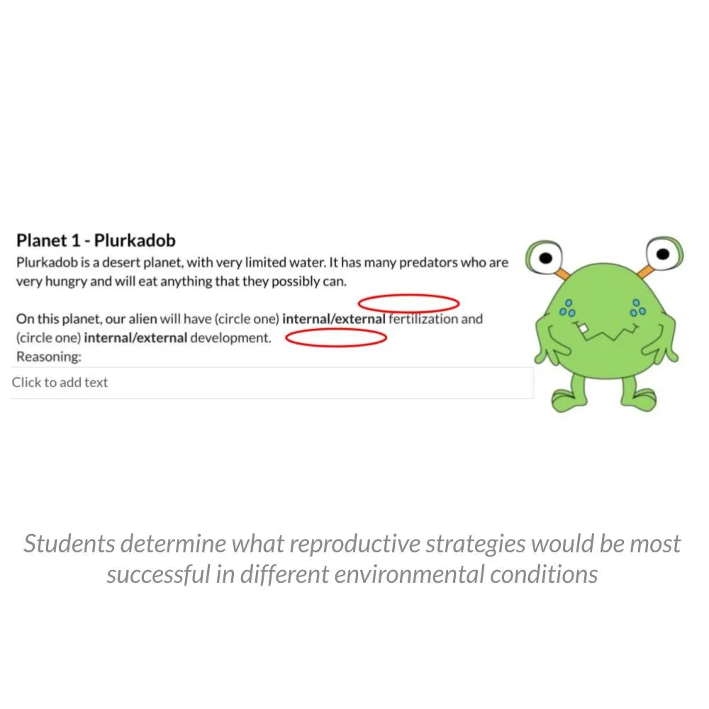 New Lesson Icons (1).jpg