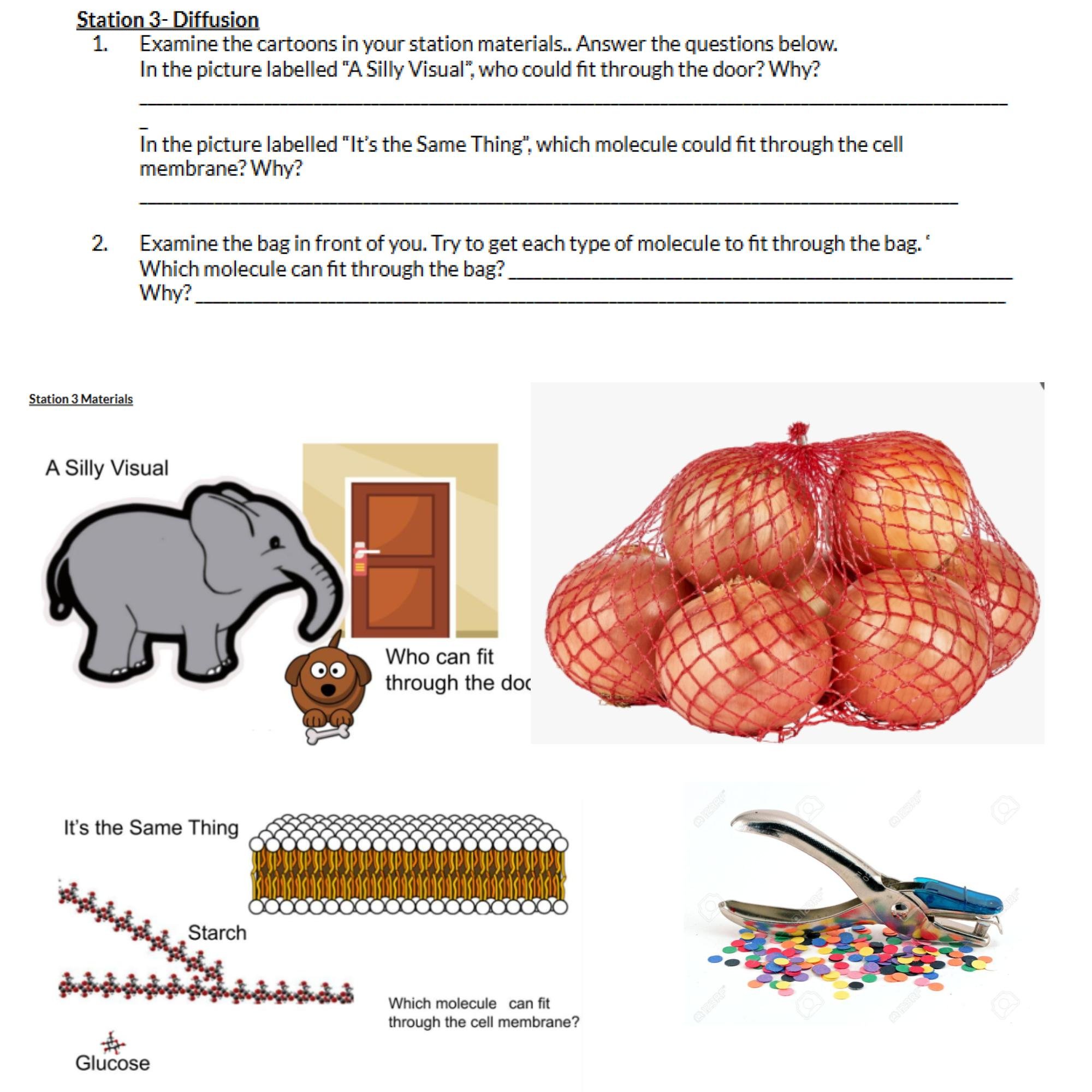 CORRECT Lesson Icons (2).jpg