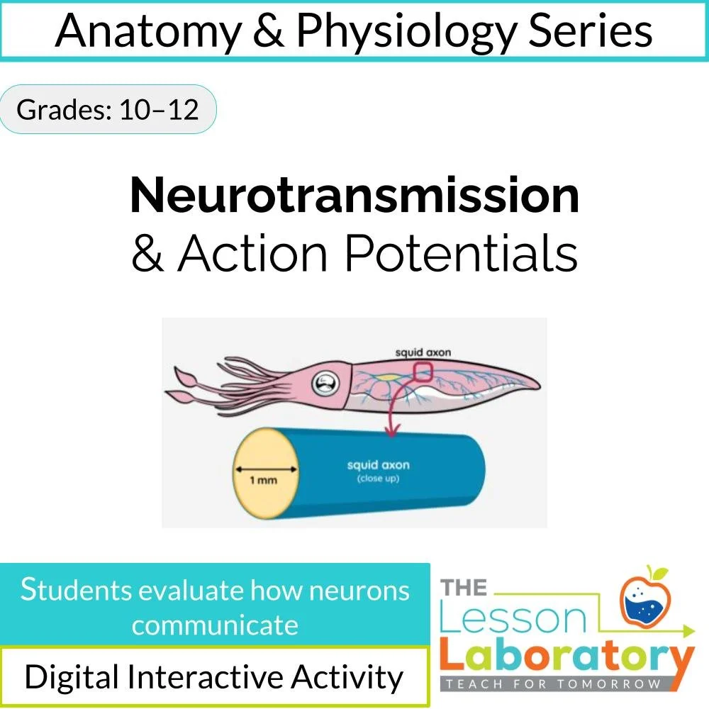 Neurotransmission & Action Potentials: Chemical vs. Electrical Signaling Case Study
