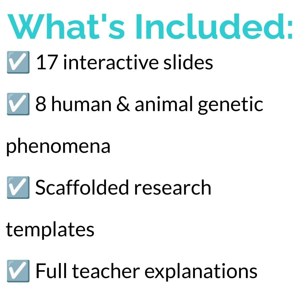 New Lesson Icons (2).jpg