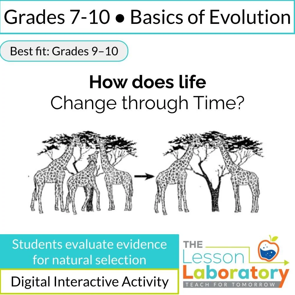 New Lesson Icons.jpg