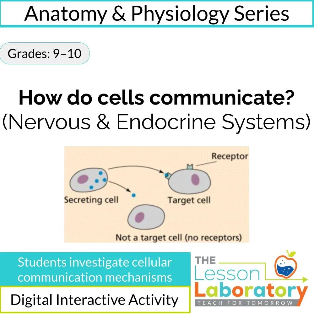 How Do Cells Communicate? | Nervous vs. Endocrine Systems Digital Investigation
