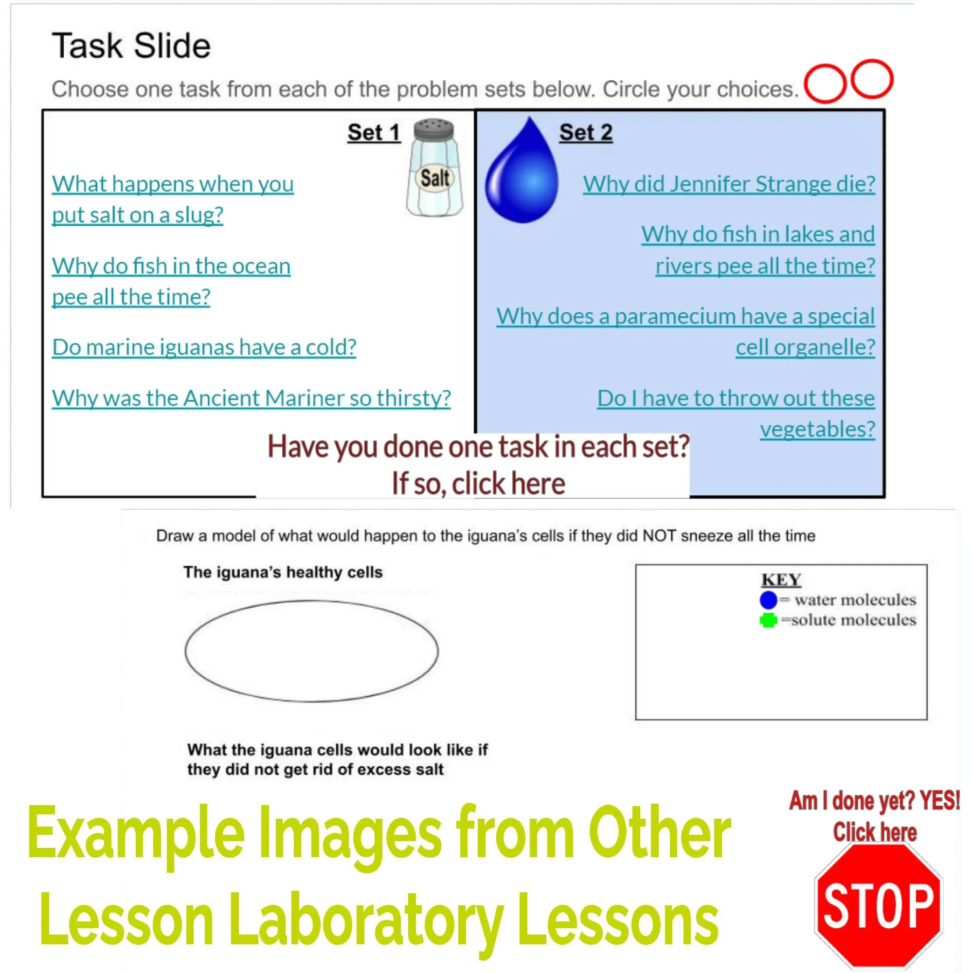 CORRECT Lesson Icons (1).jpg