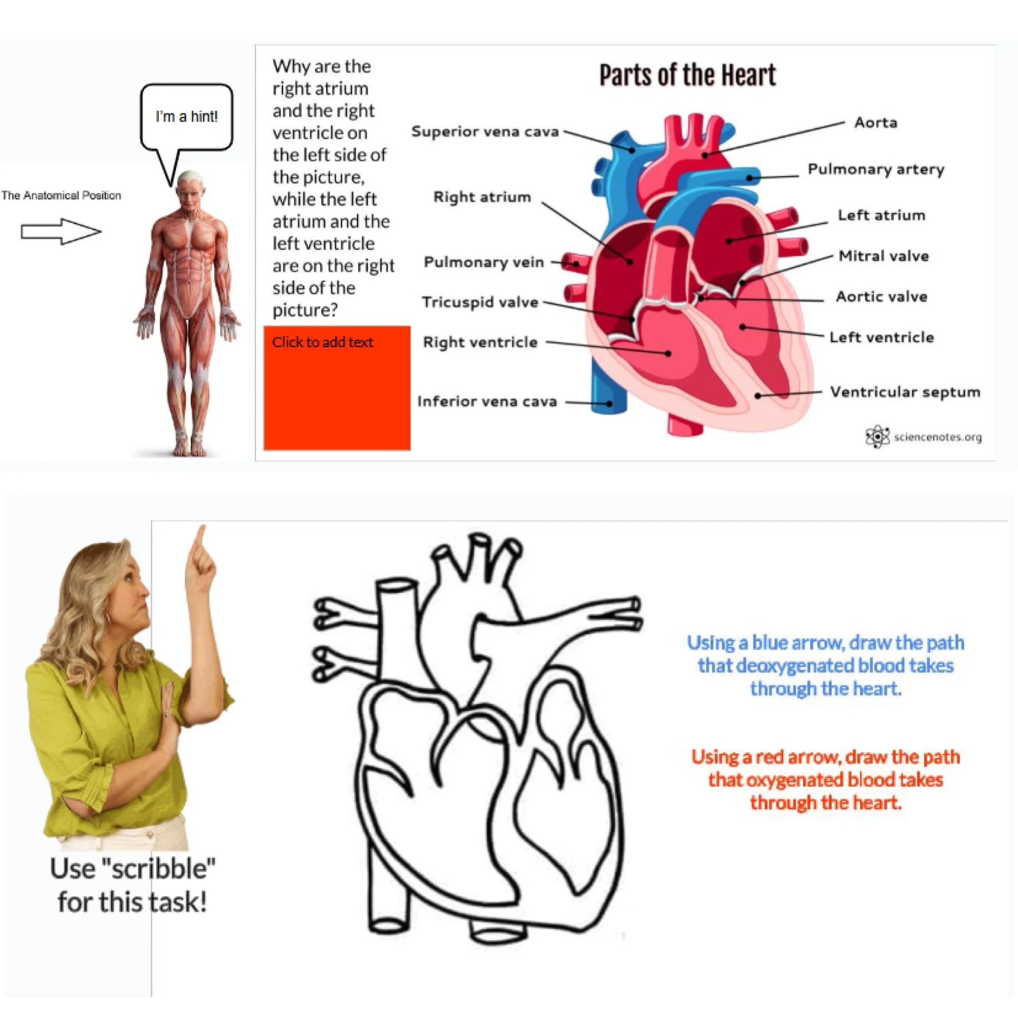 CORRECT Lesson Icons (3).jpg