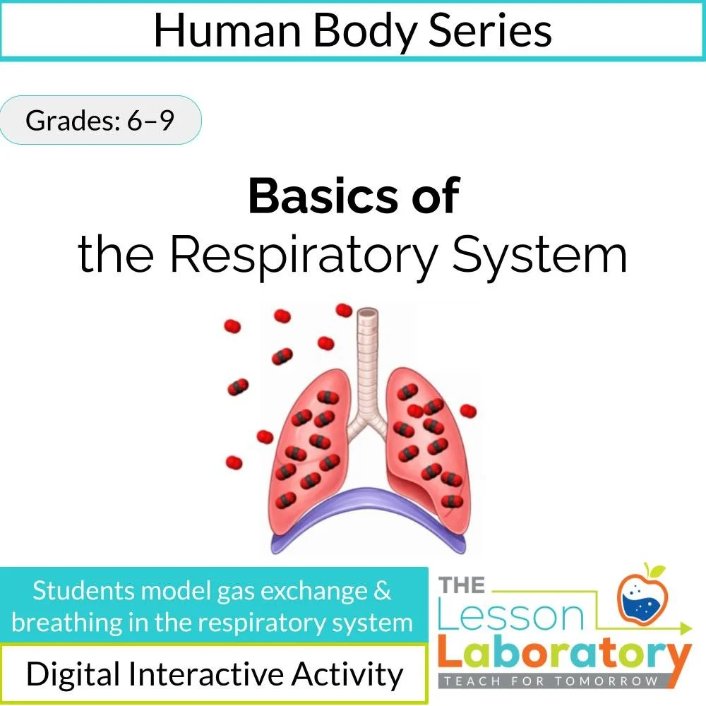 MS_HS Lesson Icons.jpg