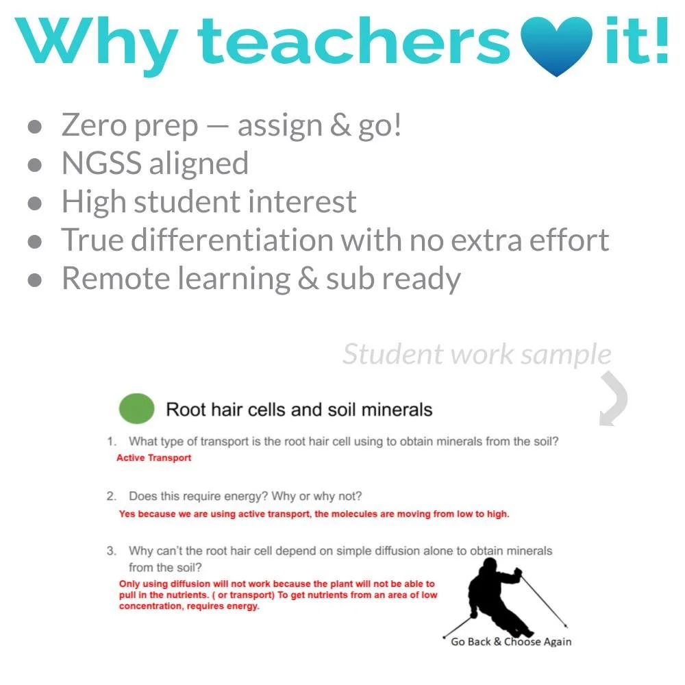 New Lesson Icons in Process (3).jpg