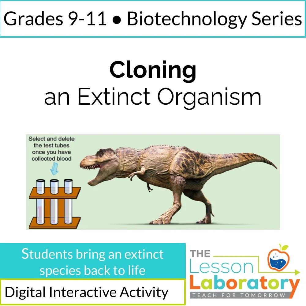 New Lesson Icons in Process.jpg