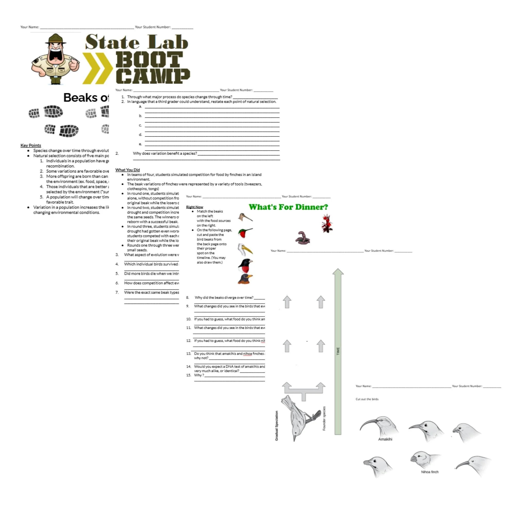 CORRECT Lesson Icons (1).jpg
