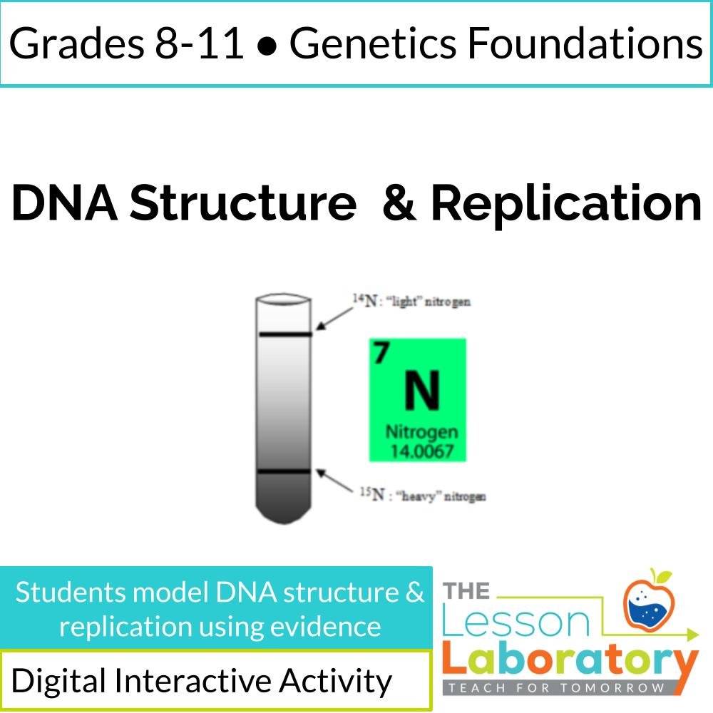 DNA Structure and Replication Digital Lesson | Modeling Base Pairing & Semi-Conservative Replication