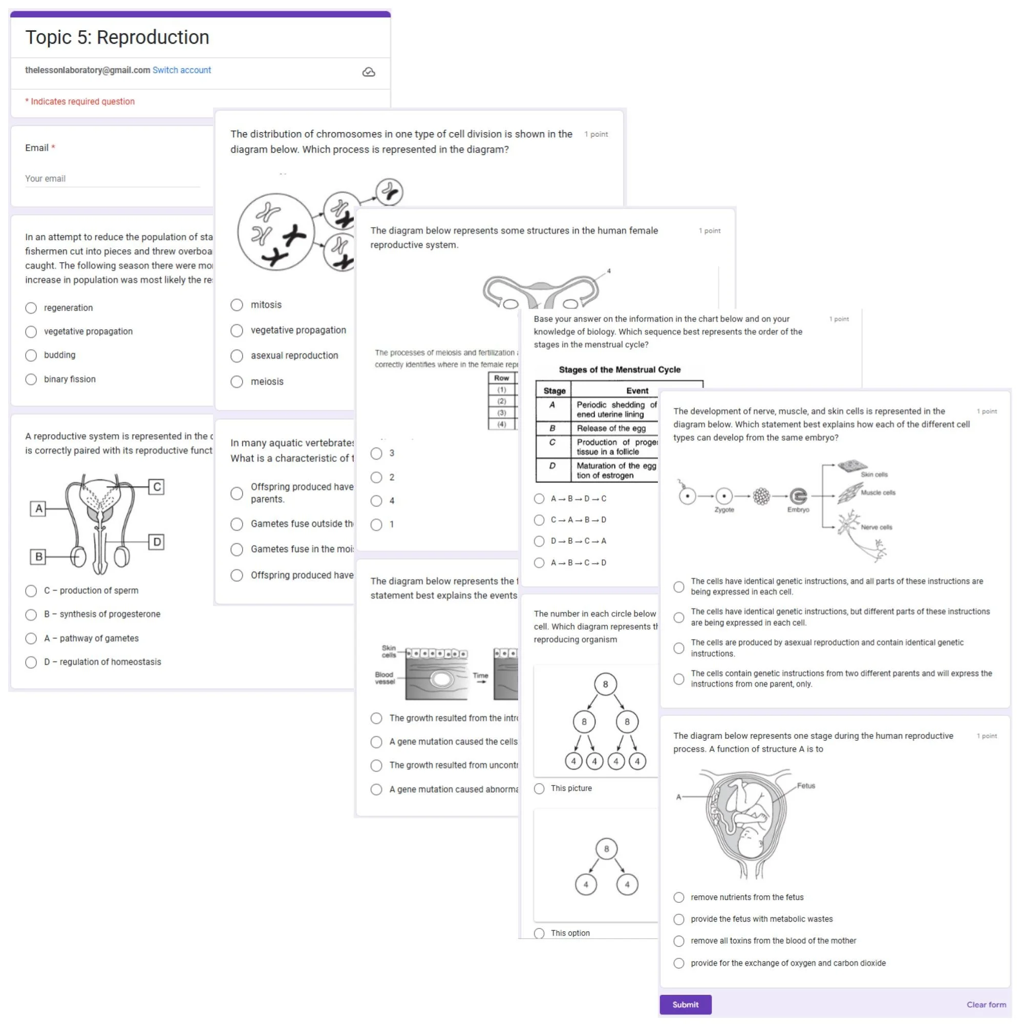 CORRECT Lesson Icons (1).jpg