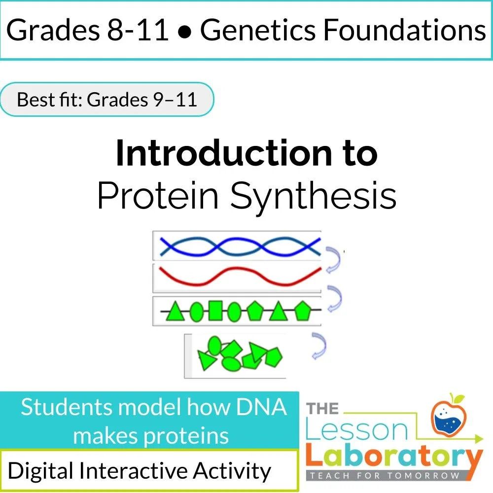 Introduction to Protein Synthesis | Transcription and Translation