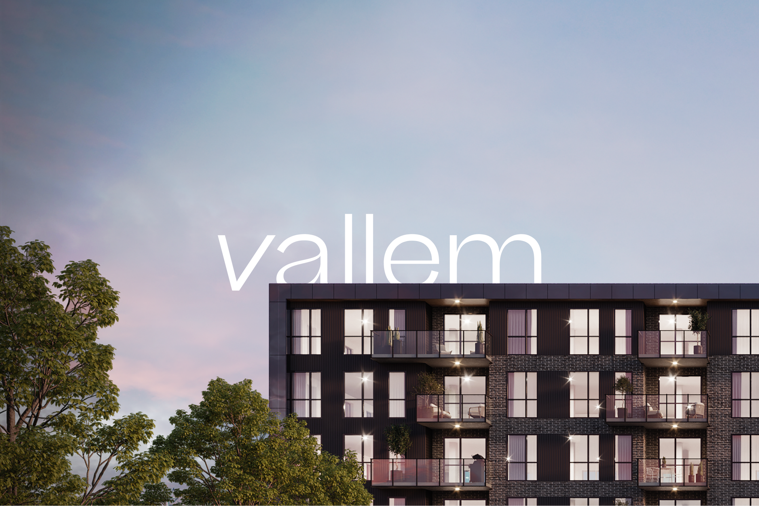 Vallem - brand - entete.png