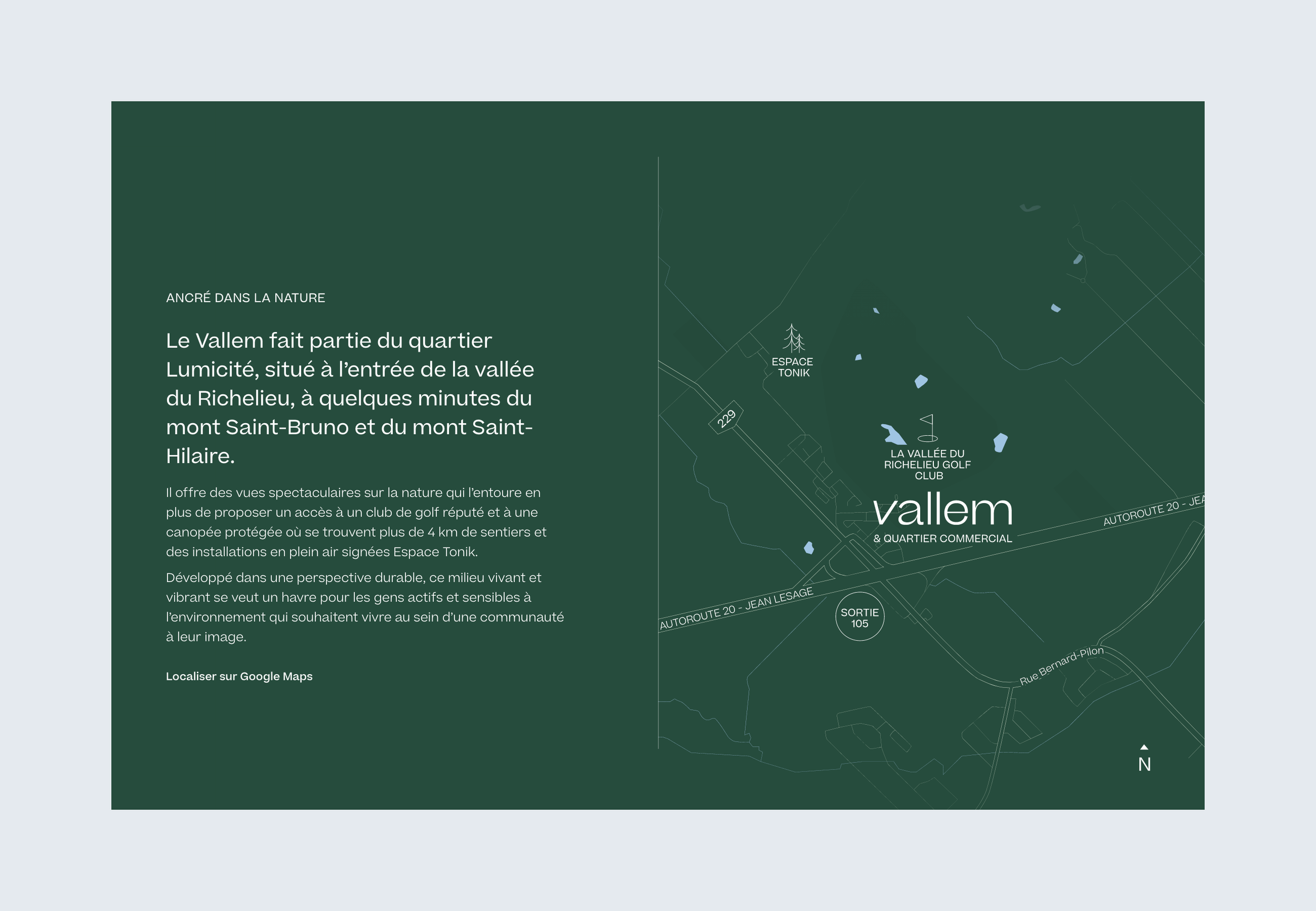 Vallem - web 2.png