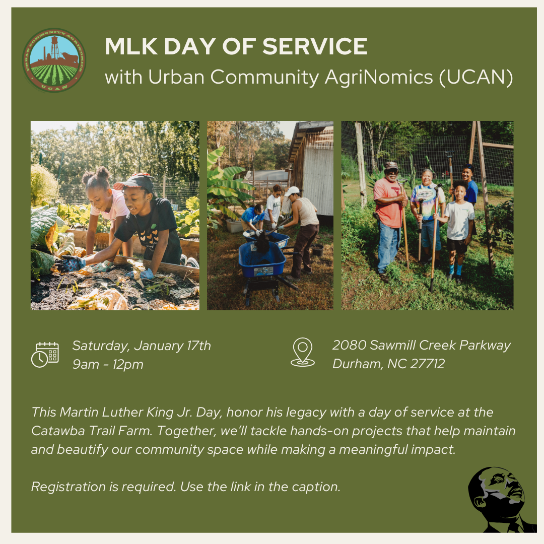 MLK Day of Service