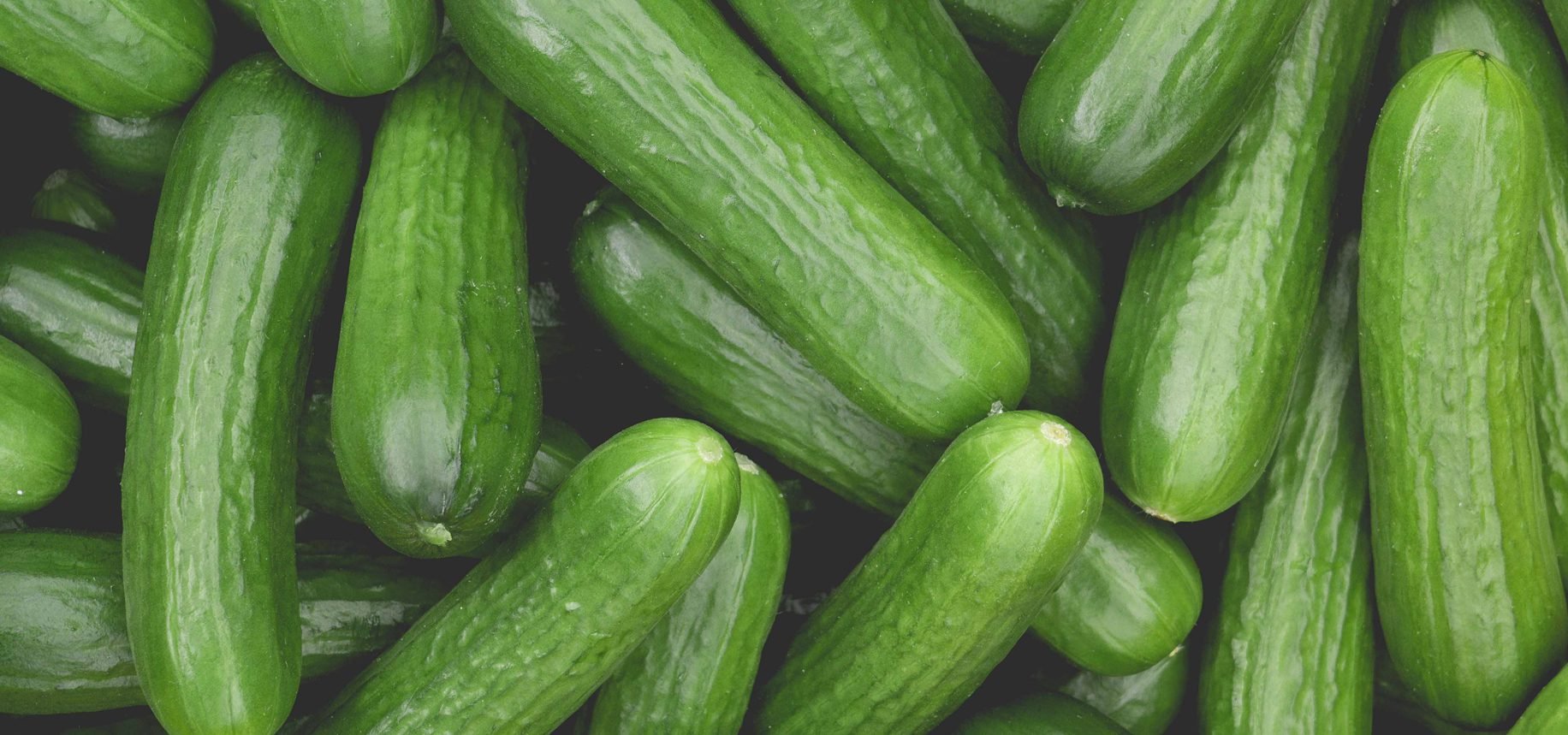 Mini_Cucumber_Banner.jpg