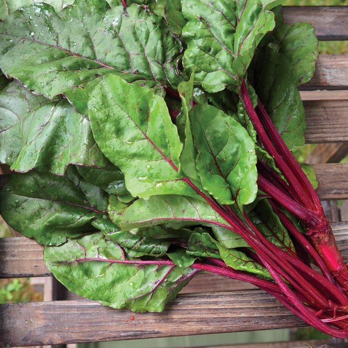 Fresh-Pak-Beet-Greens.jpg