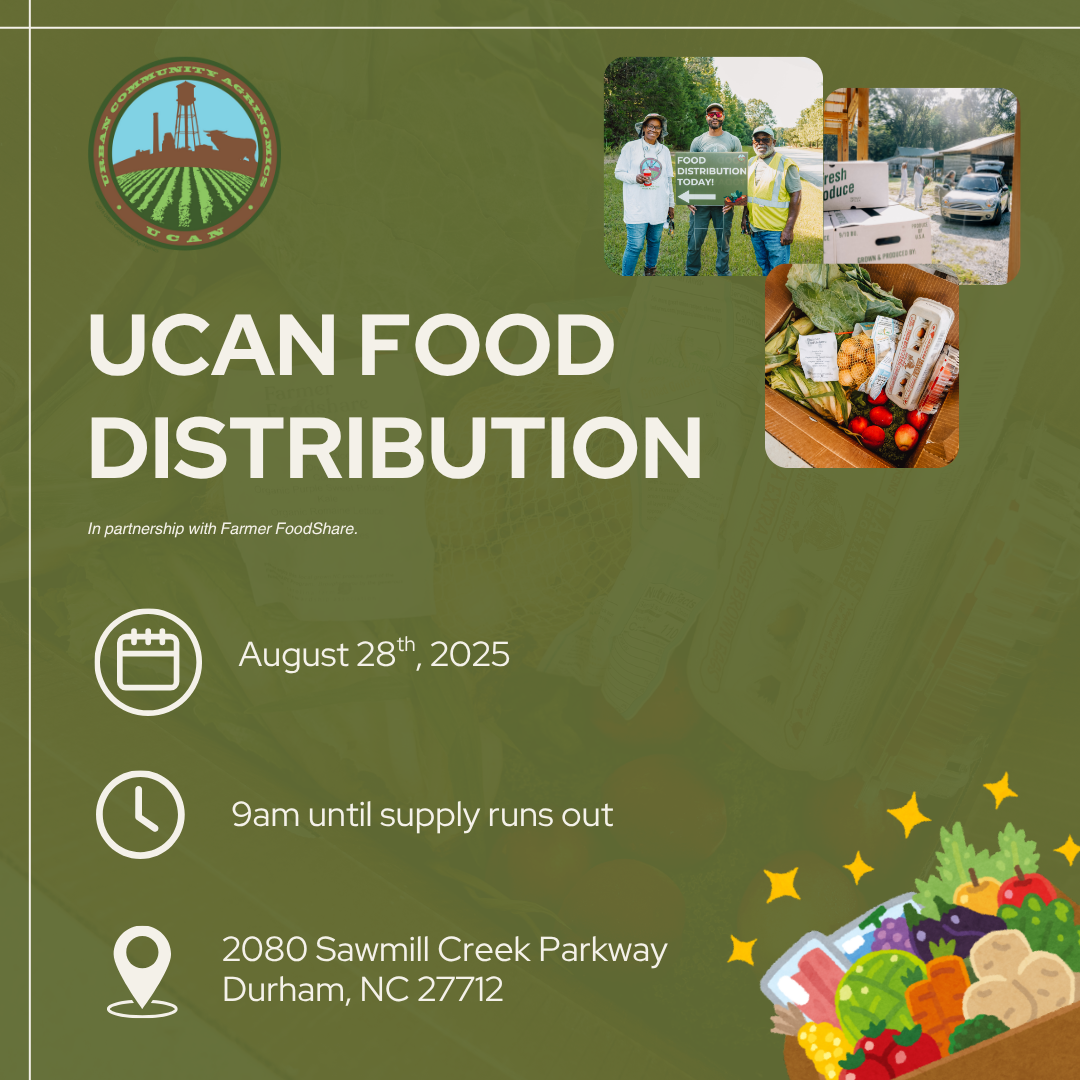 2025 Food Distribution
