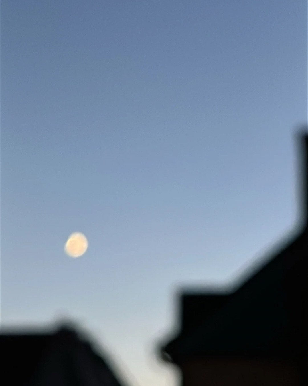 Ich habe in diesem Jahr kein einziges Mondritual gemacht und dennoch f&uuml;hle ich mich mit den kosmischen Energien, den Rhythmen der Natur und meinem ganz eigenen Rhythmus verbunden, wie nie zuvor.

Der Blick in den Himmel erinnert mich daran, da&s