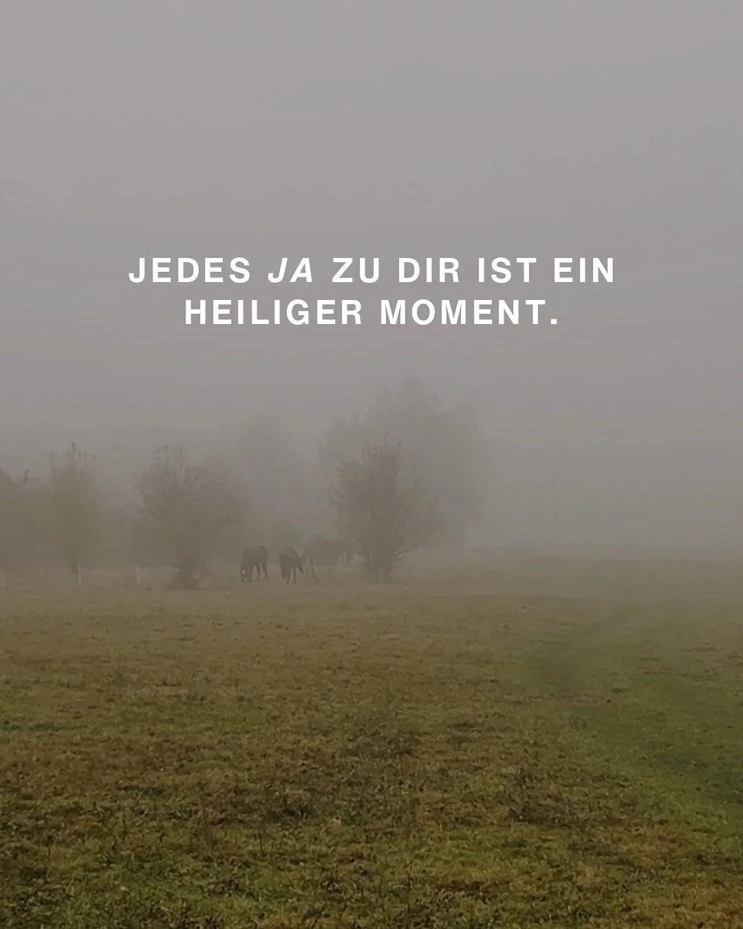 Life ist not about suffering,
it&acute;s about remembering.
It is not about hope,
it is about certainty.

&zwnj;

Jedes JA zu dir ist ein heiliger Moment,
jedes JA ist die Geburtsstunde von Gewissheit.

Mit jedem JA hebt sich der Schleier;
ein St&uum