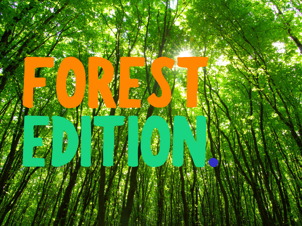 Your Last Party. Forest Edition. 