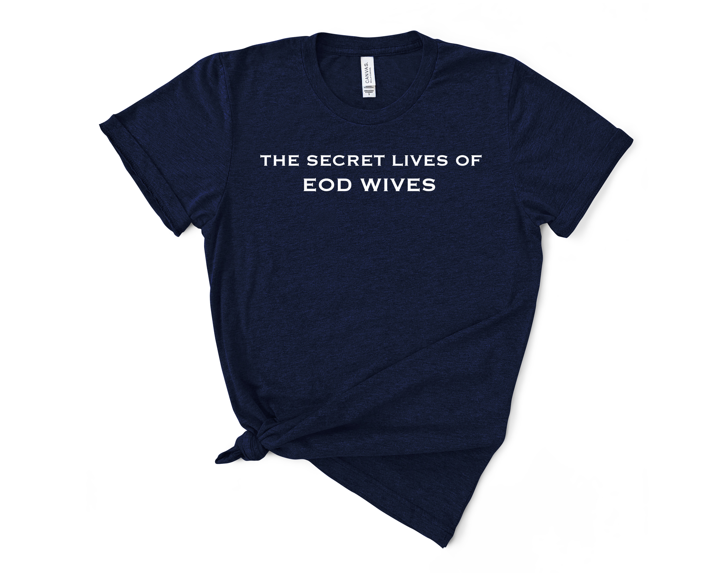 Secret Lives Front Navy.png