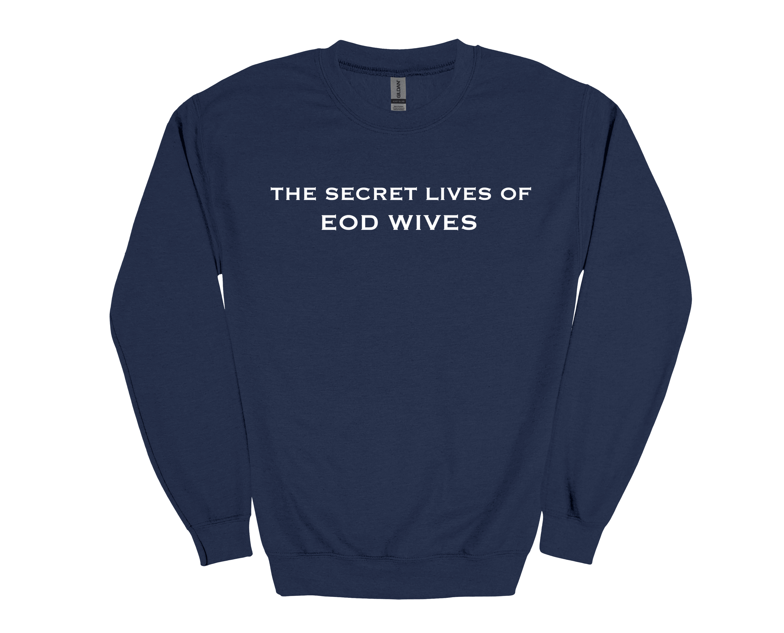 Secret Lives Front Navy.png