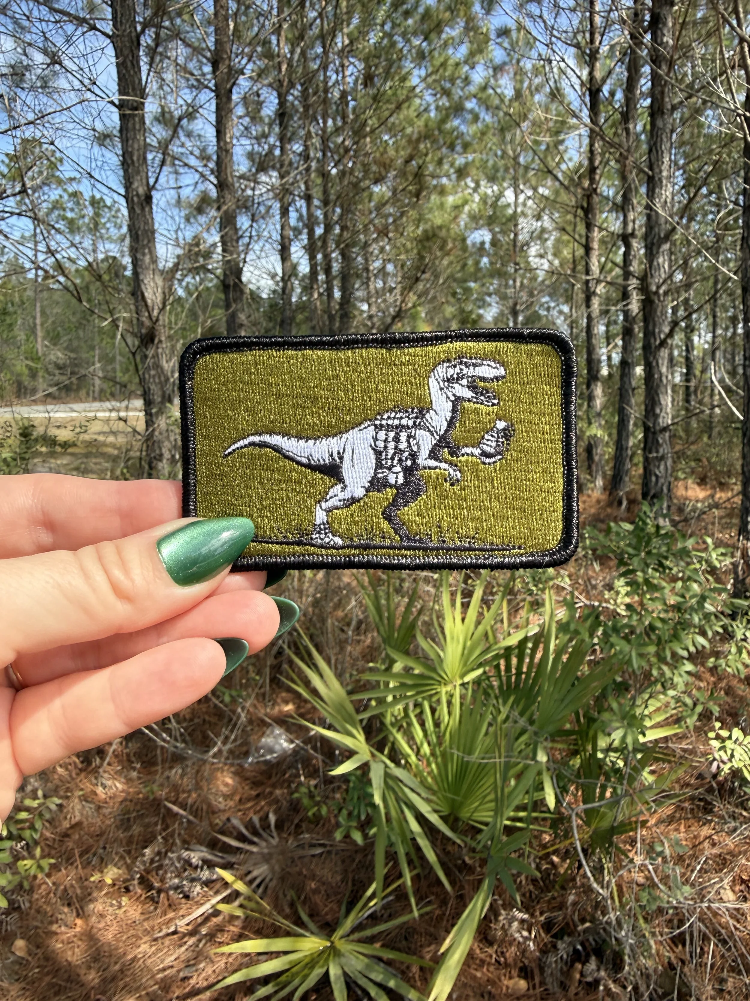 Clever Girl Patch