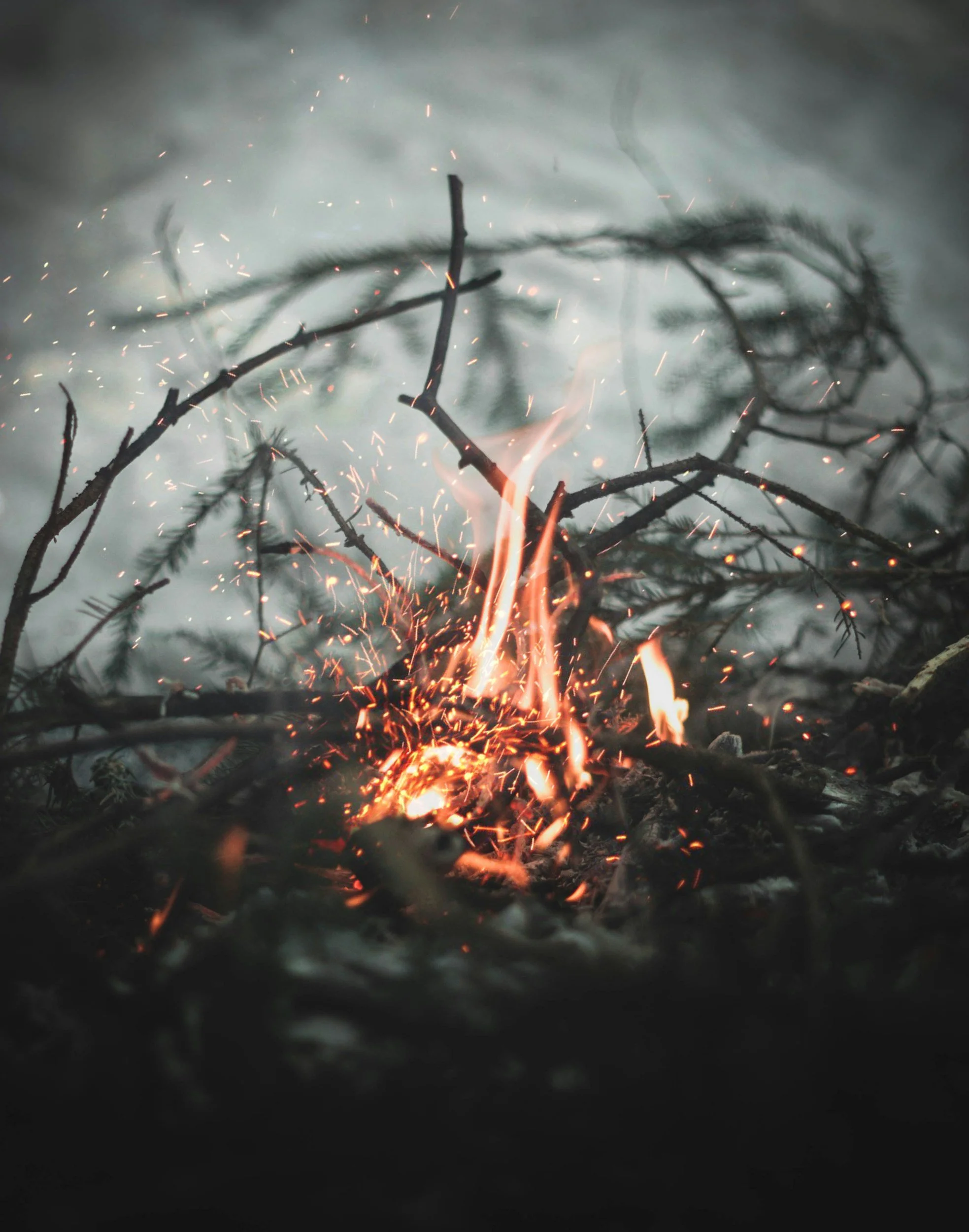 Current Fire Concerns