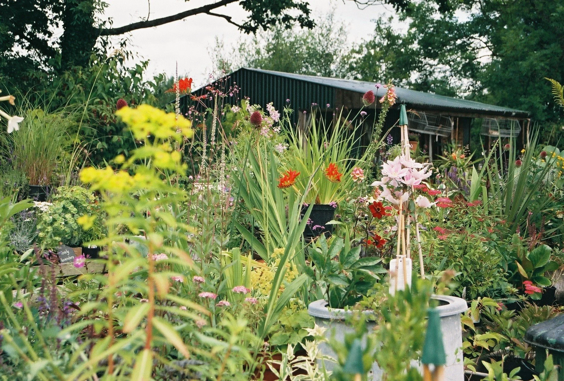 2015-07-17 13.22.42-1.jpg