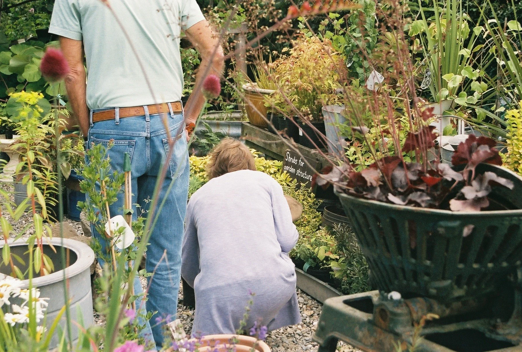 2015-07-17 13.22.42-6.jpg