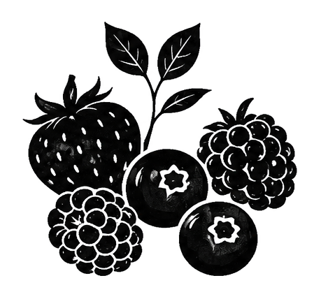Black and white illustration of strawberries, blueberries, blackberries, and leaves.