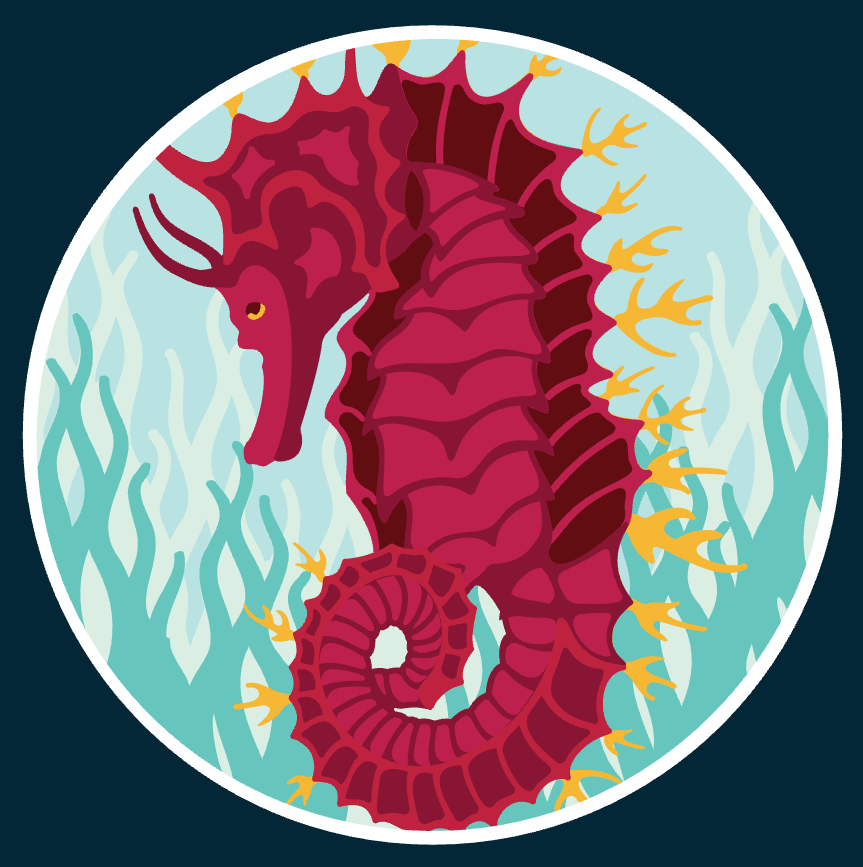 Seahorse