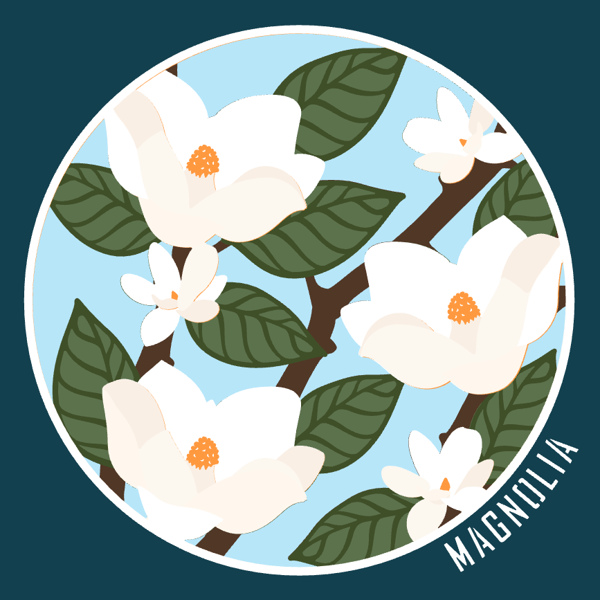 Magnolia