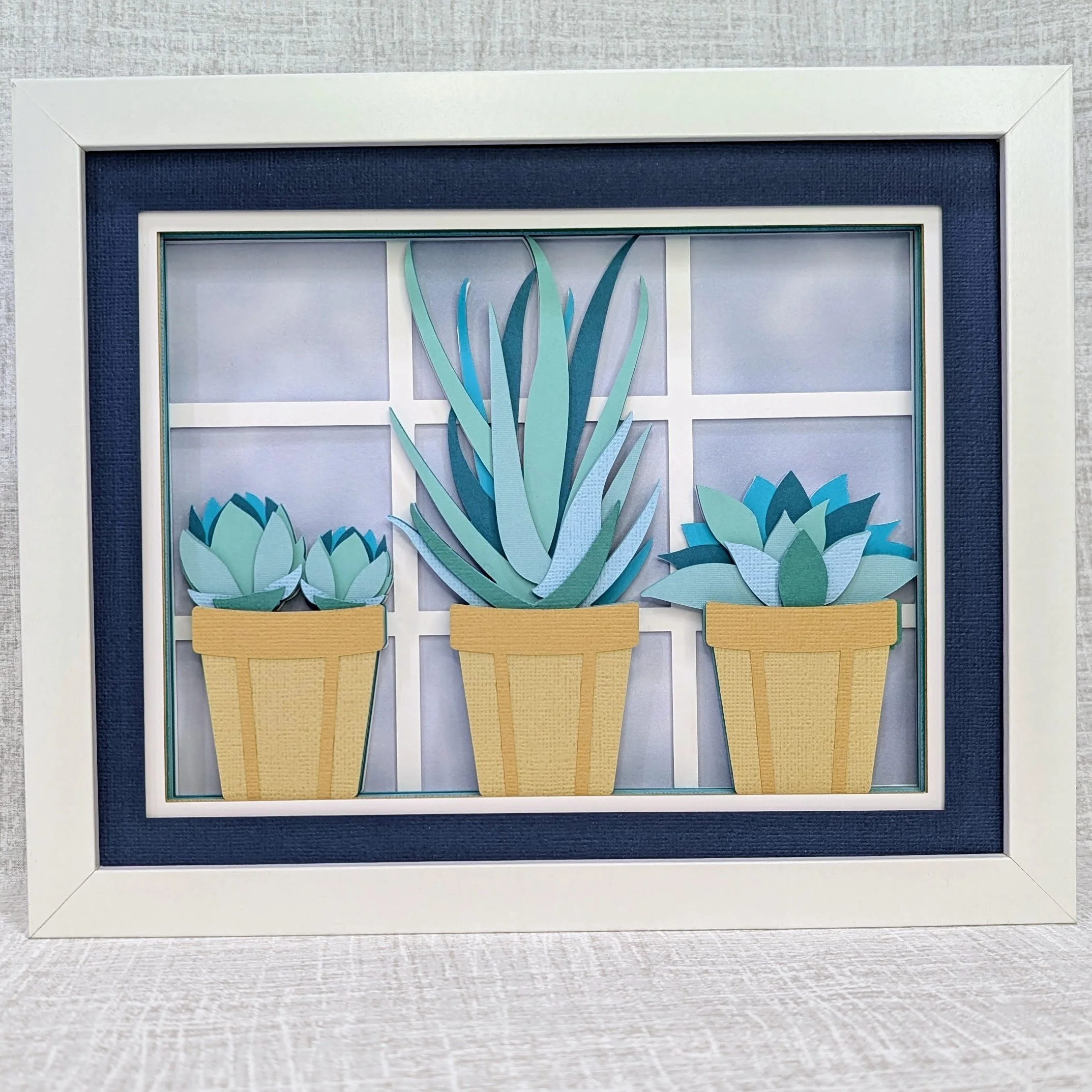 Succulents in Pots