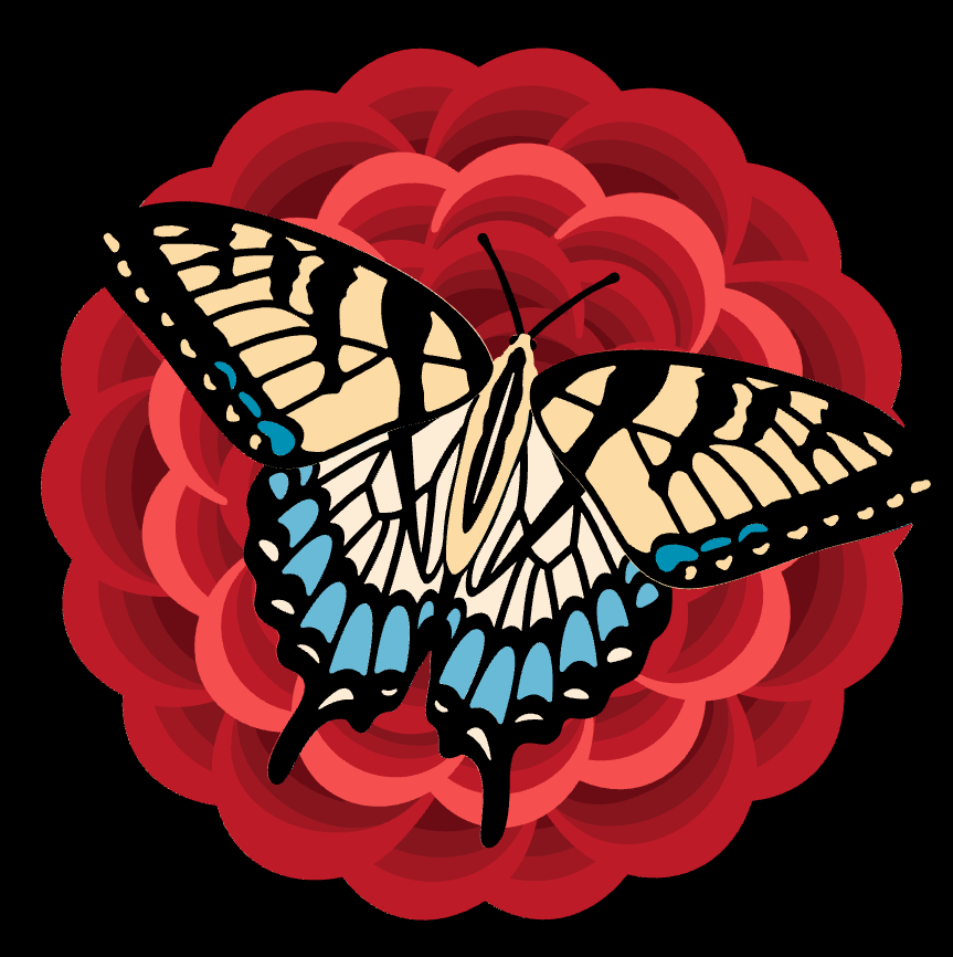 Butterfly on Flower