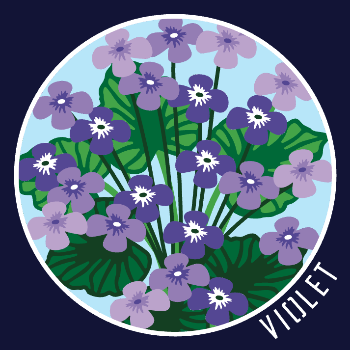 Violets