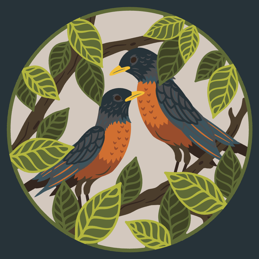 American Robins