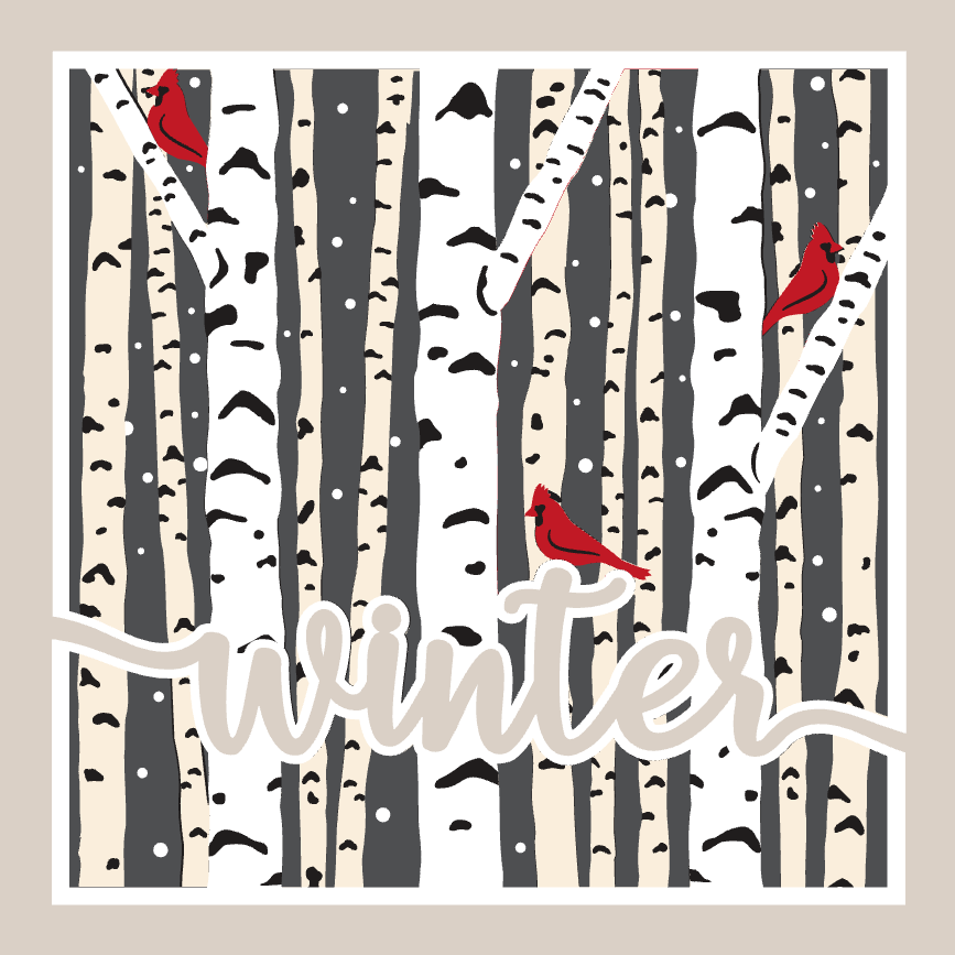 Birch Tree Forest Winter