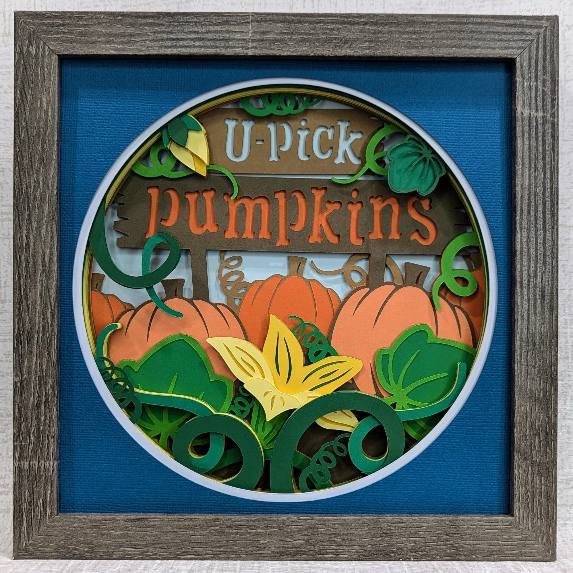 Pumpkin Patch